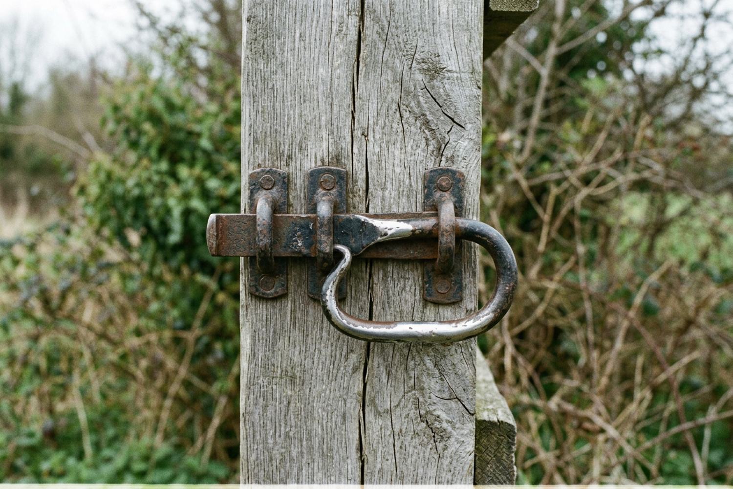 A worn iron gate latch on gray timber, polished bright where hands lift it