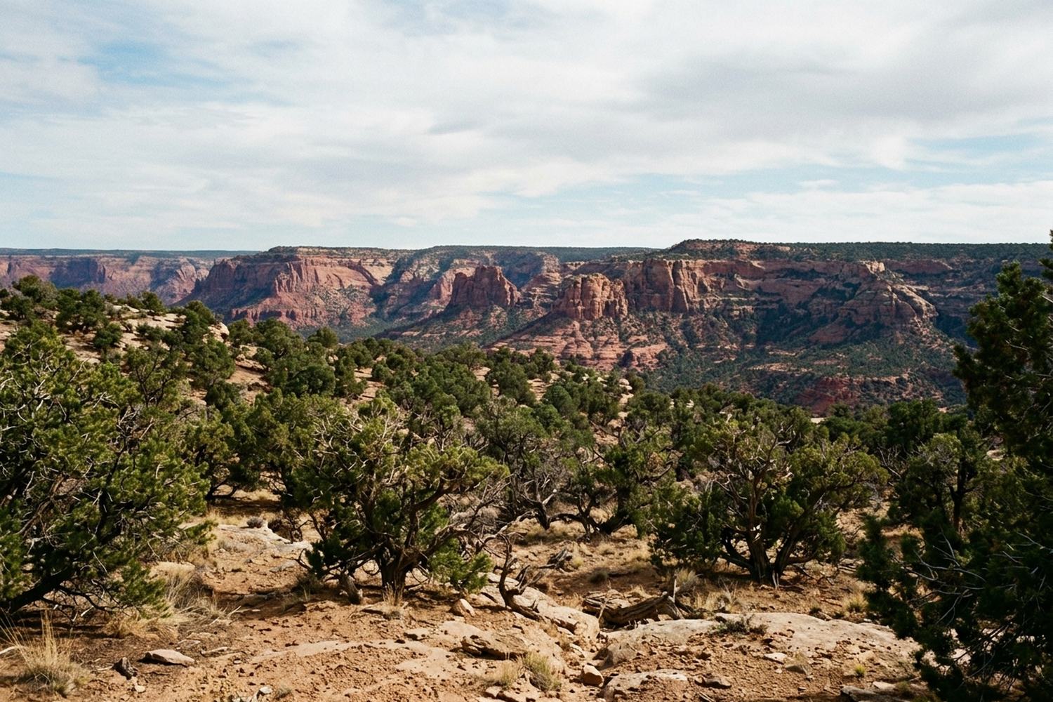 Dry pinon and juniper country rising to red rock mesas