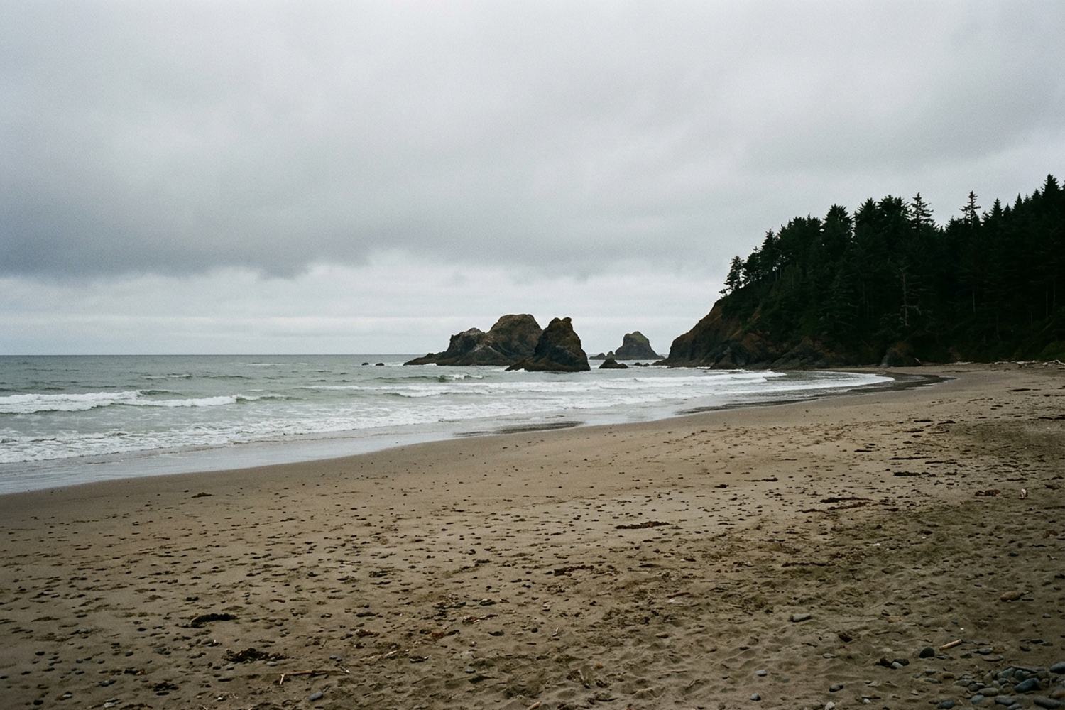 A wide sand beach below a dark forested headland with sea stacks offshore