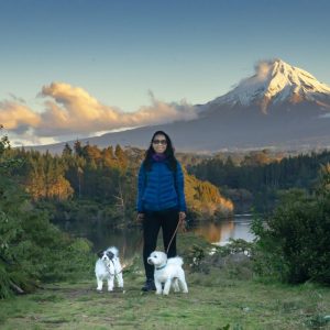 2 dogs, volcano, Dog Sitting New Zealand