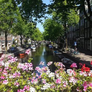 flowers canal amsterdam summer