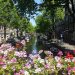 flowers canal amsterdam summer