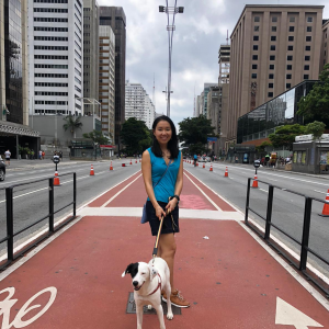 International Dog sitting in Sao Paulo, avenida Paulista